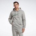 reebok-reebok-identity-fleece-hoodie_19728276_45297300_2048.jpg