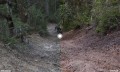 trail prizm.jpg