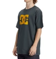 adyzt05373_dcshoes_w_bzj0_sideDCStarTee_1024x1024@2x.webp