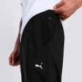 puma 7.jpg