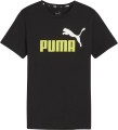 puma.jpg