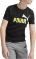 puma.jpg