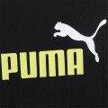 puma.jpg
