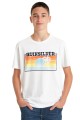 quiksilver t-shirt.jpg
