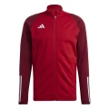 Bluza męska Adidas.png
