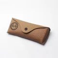 ray-ban case.jpg