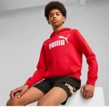 Puma bluza dziecięca z kapturem